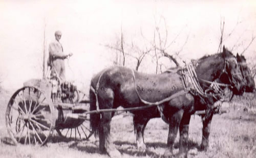 HOWARD HOUGH, BROTHER OF WALTER K. AND TEAM ON FARM NOW OWNED BY HIS GRANDCHILDREN AND ROBERT C. WILSON